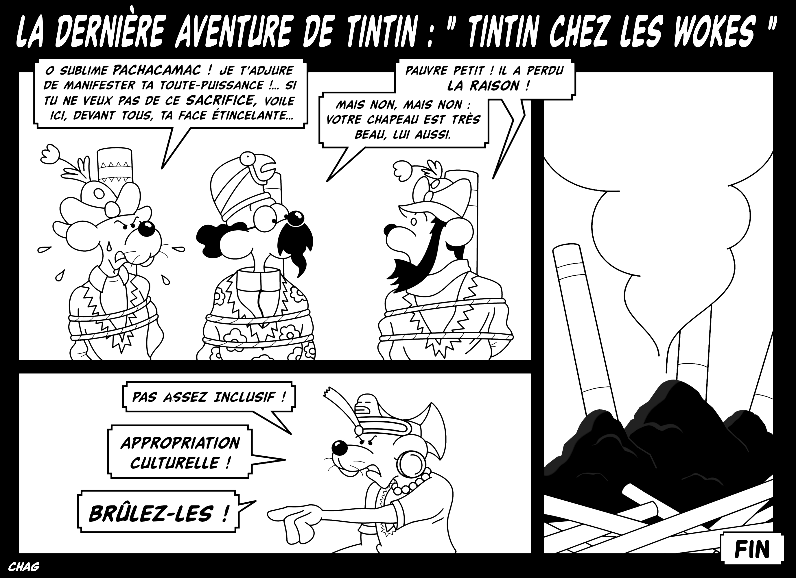 Dessin Tintin chez les wokes de Chag